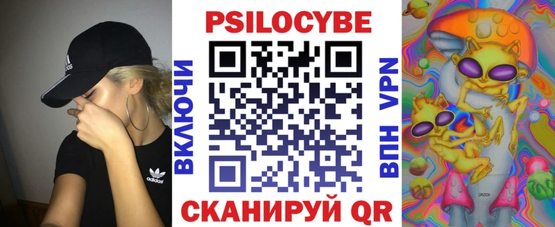 где купить наркоту  Чапаевск  Псилоцибиновые грибы мицелий 